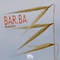 Tarassaco - Bar.ba