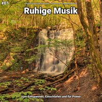 Ruhige Musik pt. 60 - Entspannungsmusik Sina Donen & Schlafmusik & Entspannungsmusik
