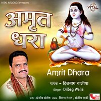 Baba Balak Nath Ki Amrit Dhara, Pt. 2 - Dilbag walia