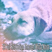 Streaming Serenity - Rest & Relax Nature Sounds Artists
