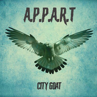 pig tales 2 - Appart