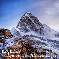 Calming Himalayan Wind Blowing Soundscape, Pt. 17 - Steve Brassel