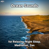 Ocean Sounds Part 56 - shoreline sounds & Nature Sounds & Ocean Sounds