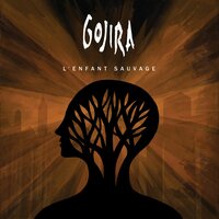 Liquid Fire - Gojira
