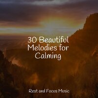 Soothing Songbird - Relaxation Sleep Meditation & Guided Meditation Music Zone & Meditacao Clube