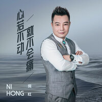 心若不动就不会痛 - 倪红