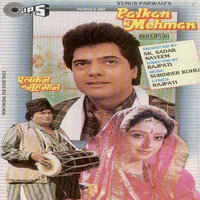 Aisan Todla Dil Tu Hamara - Udit Narayan & Sadhana Sargam
