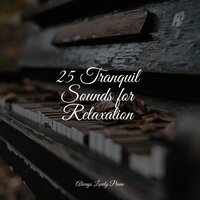 Transcendental Themes - Romantic Piano Music & Musica Relajante Para Estudiar & Study Piano