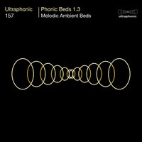 In Pieces - Ultraphonic