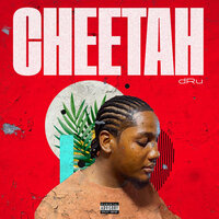Cheetah - Dru