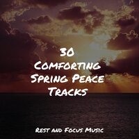 Peaceful and Tranquil - Meditacao Clube & Binaural Beats Brainwave Entrainment & Brain Study Music Guys