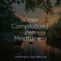 Karma Flows - Pacific Rim Nature Sounds & Spa & Spa & Ready Baby Music!