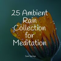 Stream, Close, Fast, Ripple - Brain Study Music Guys & Sleep Sound Library & Relaxing Sounds of Nature