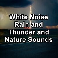 Soft Rain and Thunder with Nature Music To Help You Take A Nap - Thunder Sounds & Thunder Storm & Thunderstorms