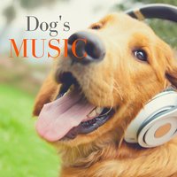 Dog Spa Relaxation (Water Sounds) - Music for Dog's Ears