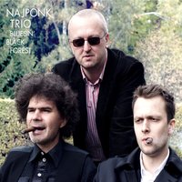 Where He Leads Me / I Will Follow - Najponk Trio