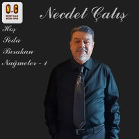 Yıldızlar da Sönmüş Ufuklar Üzgün - Necdet Çalış