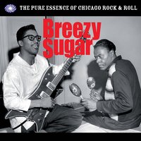 Universal Rock - Junior Wells & Earl Hooker