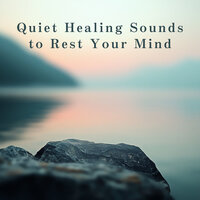 Stillness Amid the Chaos - Relaxing Bgm Project