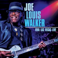 You Don't Love Me Girl - Joe Louis Walker