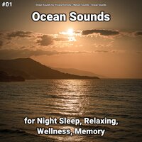 Ocean Sounds Part 40 - Ocean Sounds by Viviana Fernsby & Nature Sounds & Ocean Sounds