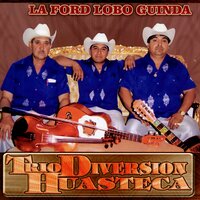 El Moro de Cumpas - Trio Diversion Huasteca