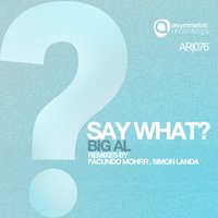 Say What - Big Al