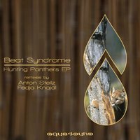 Hunting Panthers - Beat Syndrome