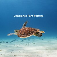 Gold Grass - Canciones Infantiles & Musica Para Niños & Canciones Infantiles Para Niños