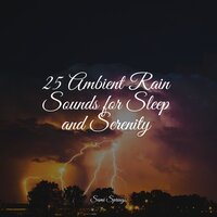 Rain on Foliage - The Rainforest Collective & Yoga Para Ninos & Tranquility Spa Universe