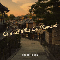 En Mode Résistance - DAVID LOEVAN