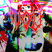 Wolf - mrynsky