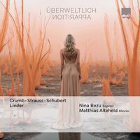 Der Tod und das mädchen D. 531 - Nina Bezu & Matthias Alteheld & Франц Шуберт