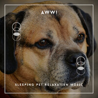 Dogs Lost In Calm - Dog Chill Out Music