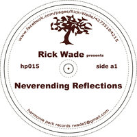 Dimensional Fugitive - Rick Wade