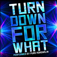 Play Hard - Pure Adrenalin
