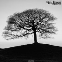 Glacier - The Boughs