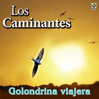 Neblina - Los Caminantes