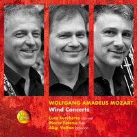 Bassoon Concerto in B-Flat Major, K. 191: I. Allegro - Aligi Voltan & Giovanni Battista Rigon & I Solisti dell'Olimpico & Вольфганг Амадей Моцарт