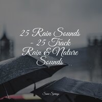 Water, Small, Creek, Close - White Noise for Baby Sleep & Reiki Music & Calming Rainforest Sounds