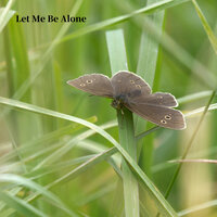 Don't Lie to Me - Viola Bloomfield