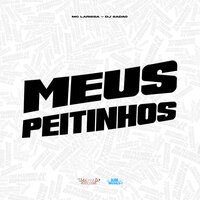 Meus Peitinhos - mc larissa & DJ Sadão