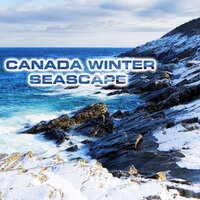 Winter Ocean Soothing Sound - Winter Sea Sounds & White Noise Sound FX & Nature Sounds 3D & Wind Atmosphere Sounds & Ocean Atmosphere Sounds & Ocean Breeze Sounds