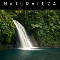 La Canción De Cuna Del Bosque - Naturaleza FX & Agua Mantra & Academia de Relaxamento Espiritual