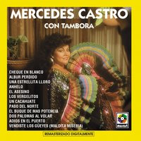 Anhelo - Mercedes Castro