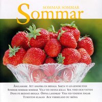 Dansen går på Svinstaskär - Lennart Wärmell