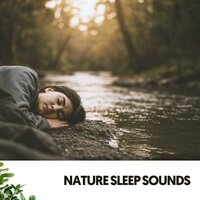 Swaying Willows Waltz - Música Relajante Para Leer & Nature Vibrations & Pet Music World