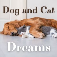 Zzz'S - Jazz Music for Cats & Jazz Music for Dogs & Jazz Pets Relax