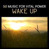 Alleviate Headache - Mindfulness Meditation Music Spa Maestro