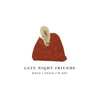 Stereo - Late Night Friends